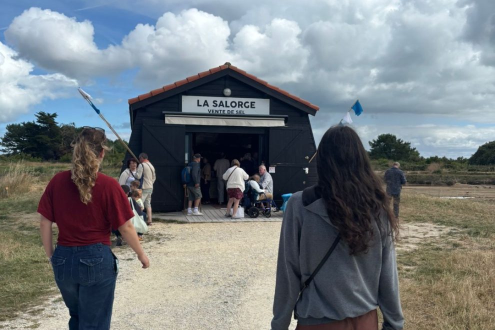 APV Sea and Mountain – France (25)